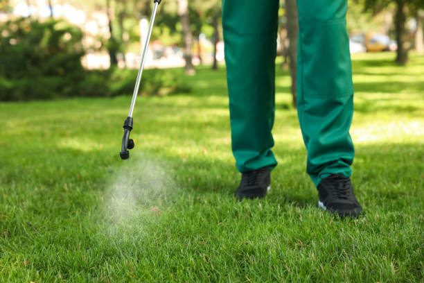 Best Pest Control Treatment  in Edmonton, KY